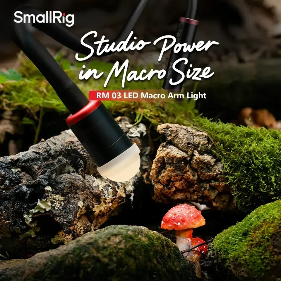 For Smallrig RM-03 3W LED Macr - Photography Lighting For Jewelry ulasan dan harga