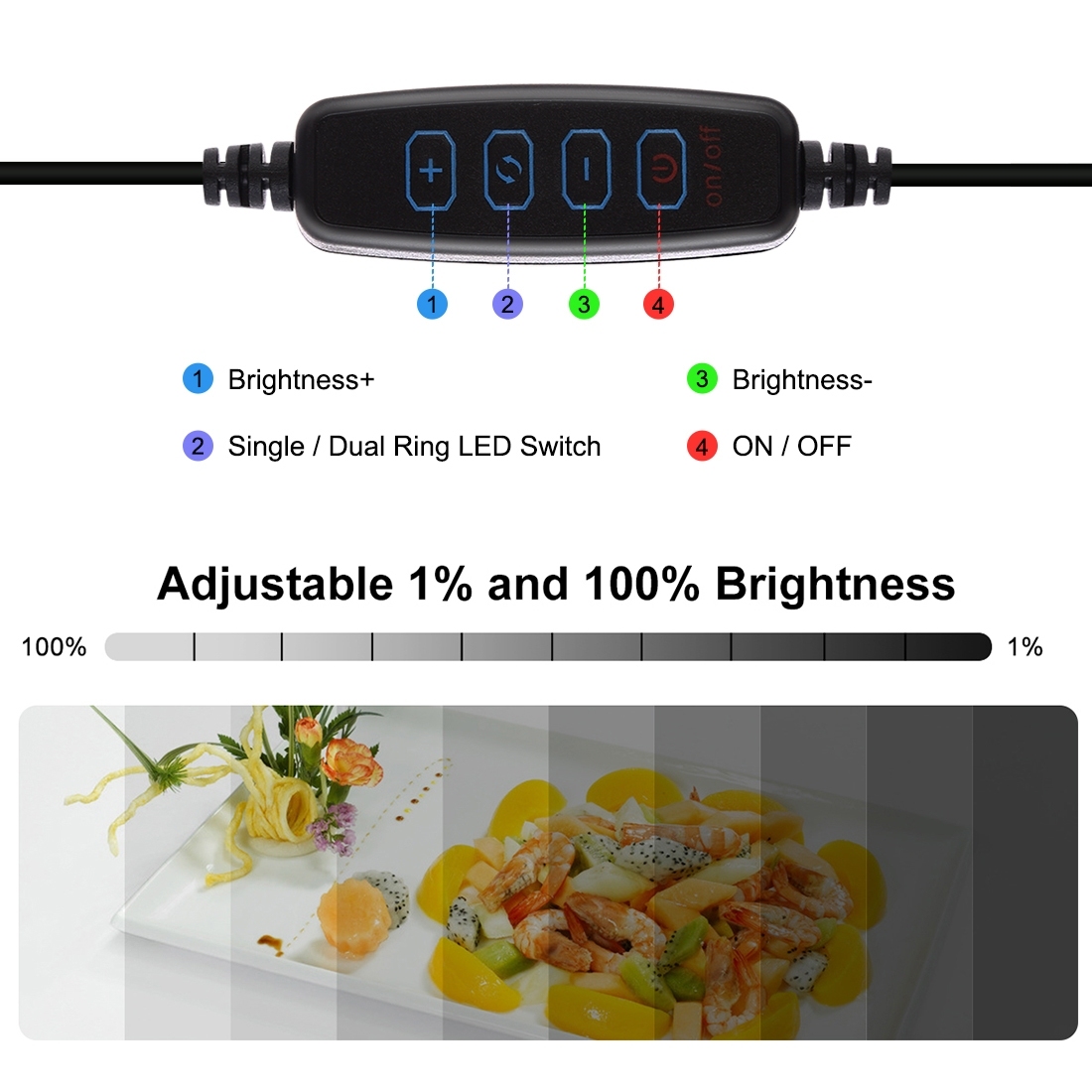 PULUZ 30cm 12inch Lightbox Min - Photography Lighting Kit With Backdrop ulasan dan harga