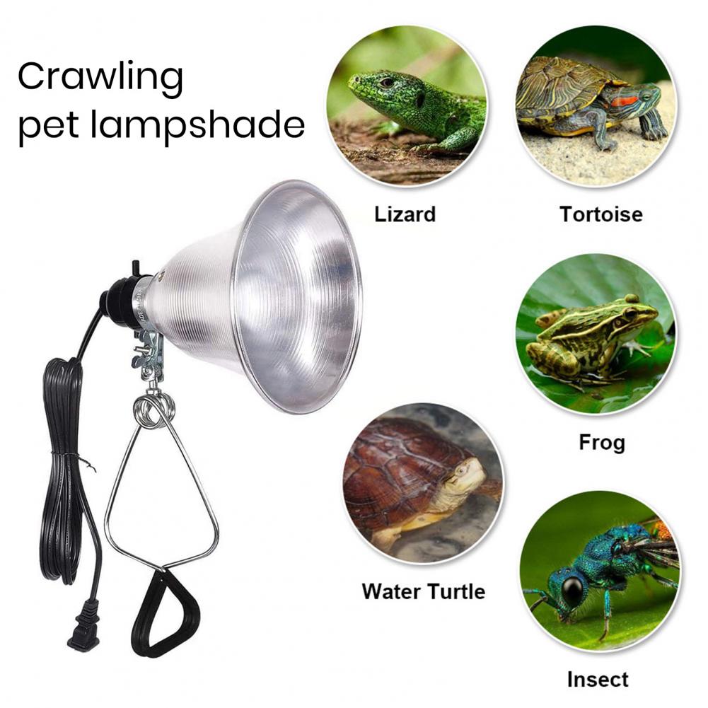 Lampshade for Table Lamp Photo - Photography Lighting Workshops ulasan dan harga